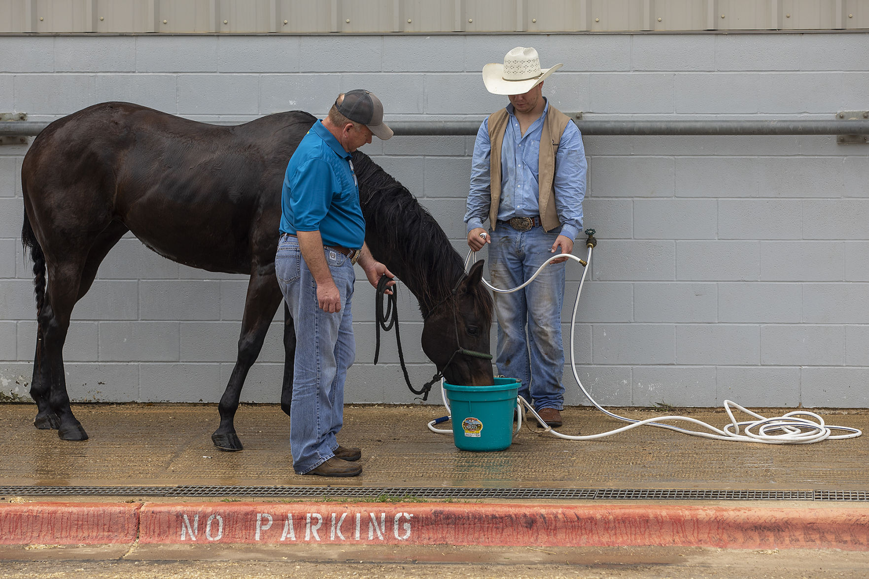 Texas A&M NIRA Rodeo